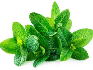 Peppermint, My Hero Herb Christina's Health and Beauty